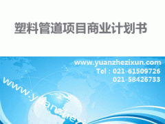 專業(yè)項目投資融資計劃書撰寫服務 中英文版本與全方位咨詢支持